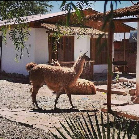Cabanas Voyage Atacama Сан-Педро-де-Атакама Екстер'єр фото