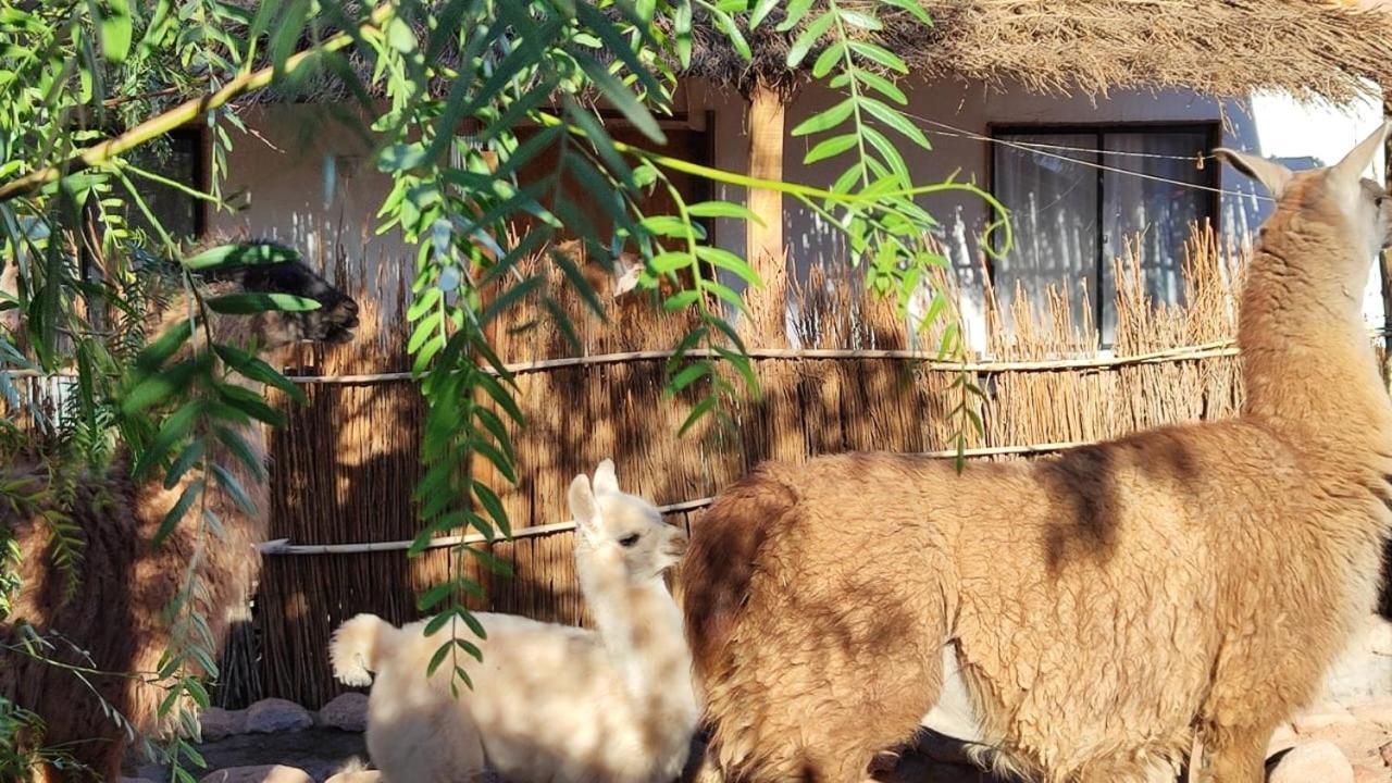 Cabanas Voyage Atacama Сан-Педро-де-Атакама Екстер'єр фото