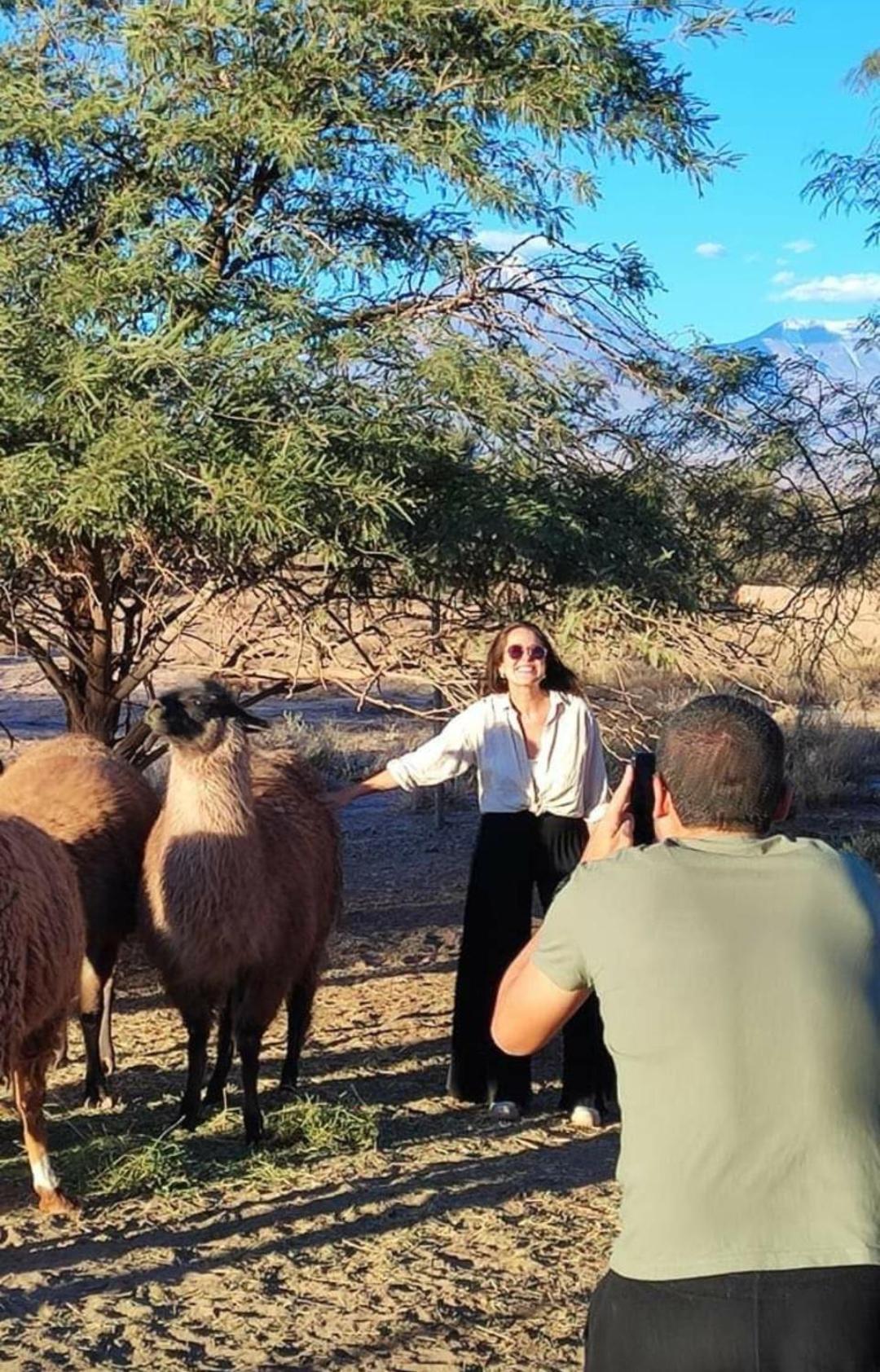 Cabanas Voyage Atacama Сан-Педро-де-Атакама Екстер'єр фото