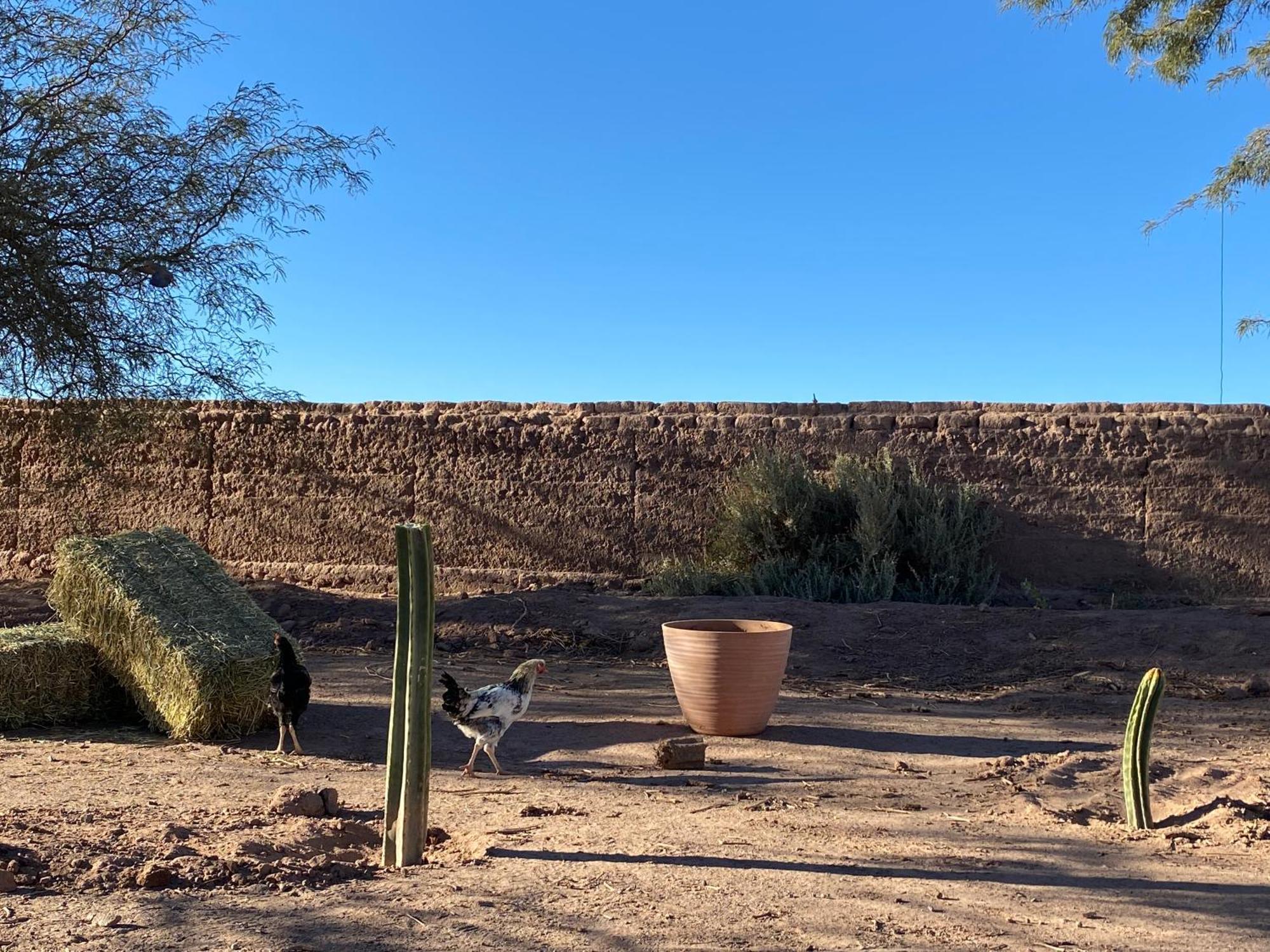 Cabanas Voyage Atacama Сан-Педро-де-Атакама Екстер'єр фото
